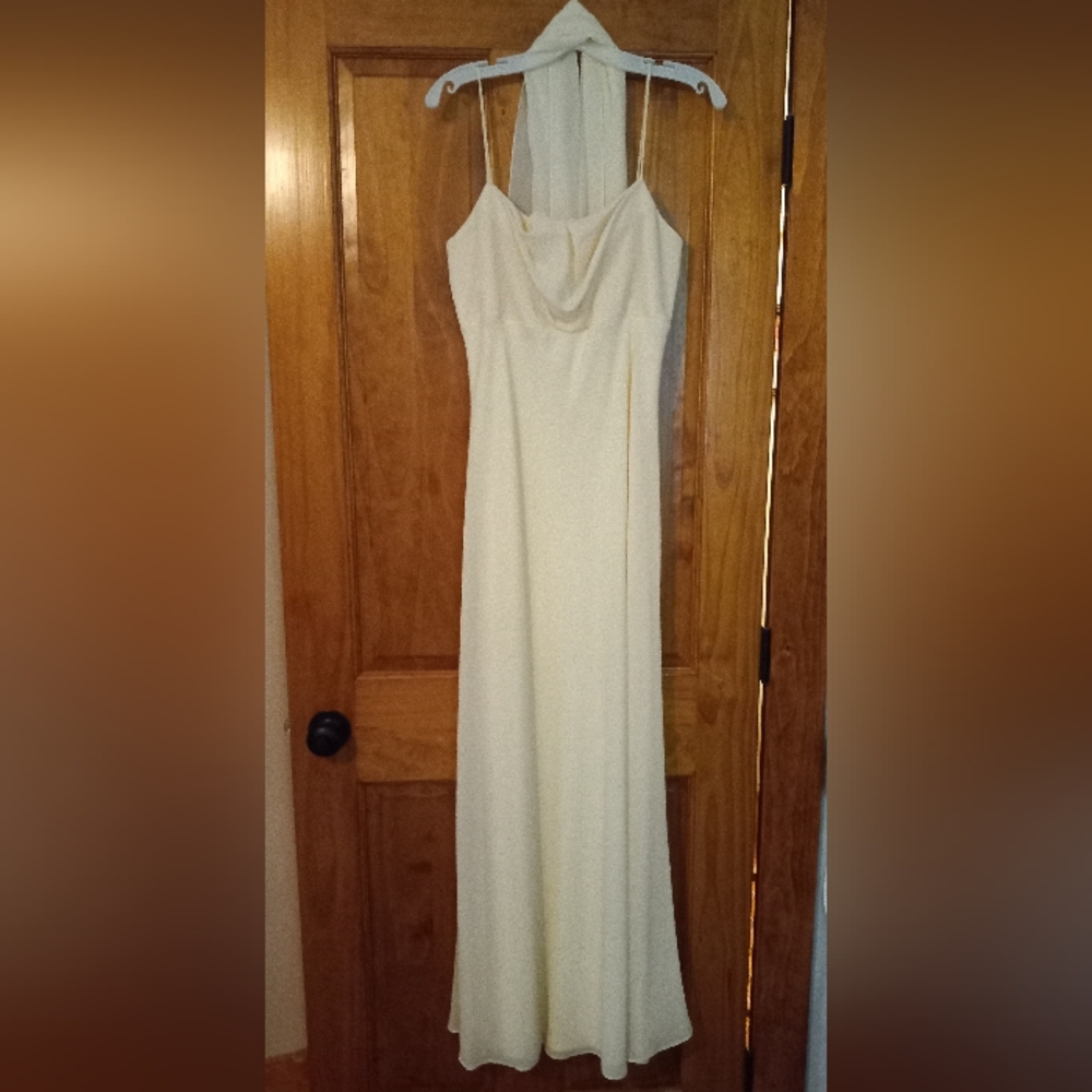 Formal full length dress with matchin scarf